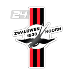 VV Zwaluwen